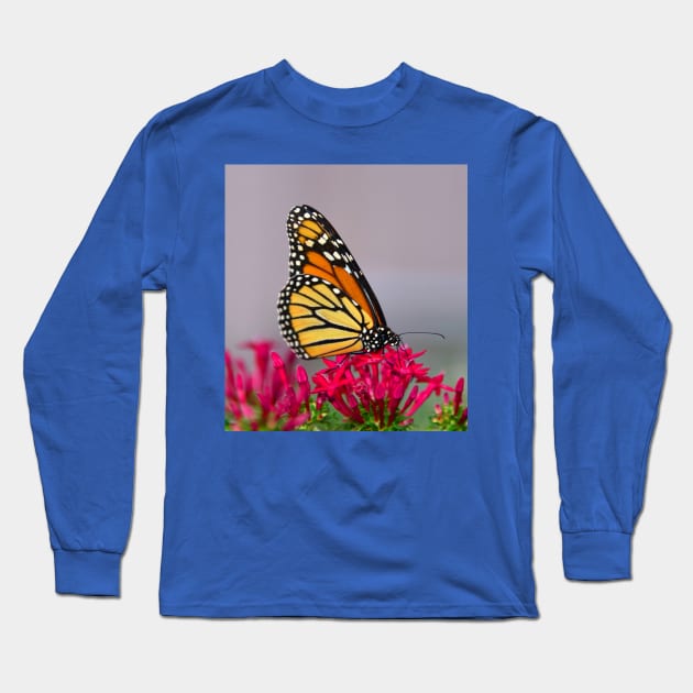 Beautiful Butterfly Long Sleeve T-Shirt by dltphoto